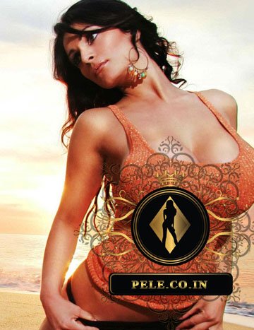 Goa Airhostess Escorts