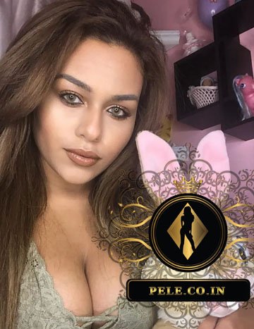 Goa Busty Escorts